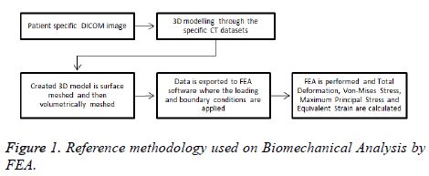 biomedres-Biomechanical-Analysis