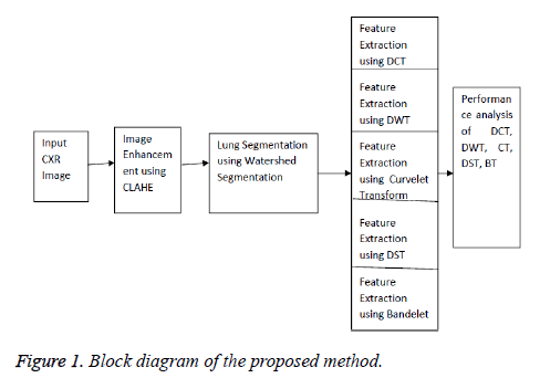 biomedres-Block-diagram