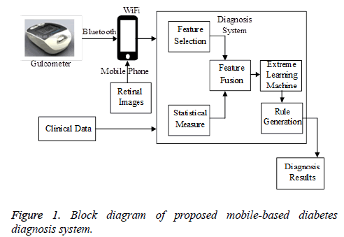 biomedres-Block-diagram