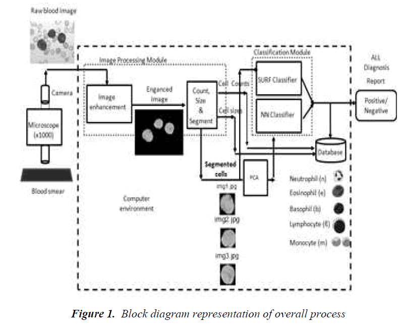 biomedres-Block-diagram