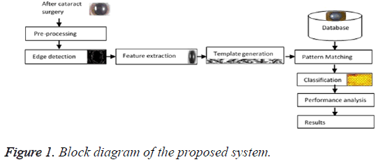 biomedres-Block-diagram