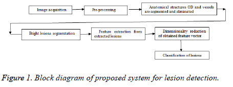 biomedres-Block-diagram