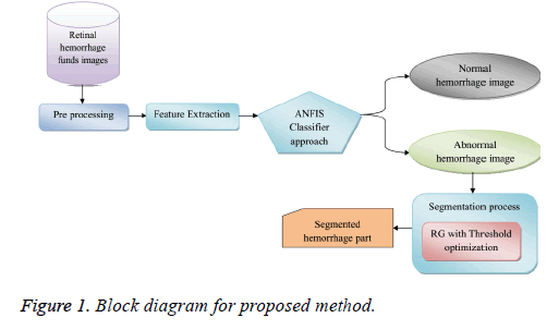 biomedres-Block-diagram