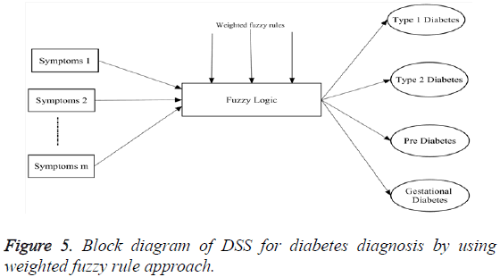 biomedres-Block-diagram-DSS