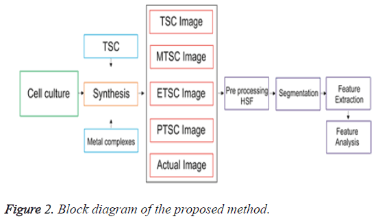 biomedres-Block-diagram-proposed