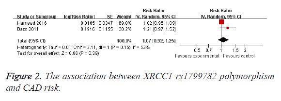 biomedres-CAD-risk