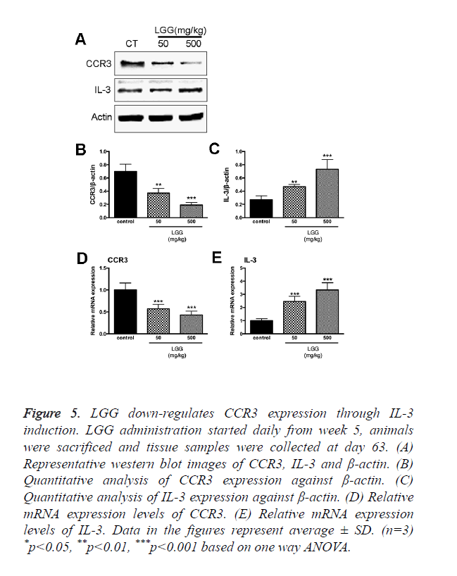 biomedres-CCR3-expression