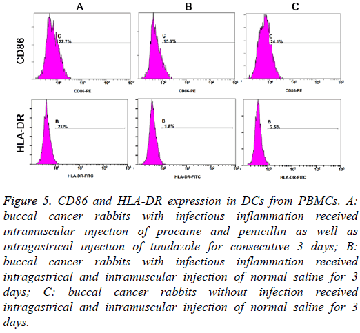 biomedres-CD86-HLA-DR-expression