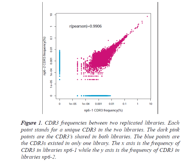 biomedres-CDR3-frequencies