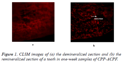 biomedres-CLSM-images