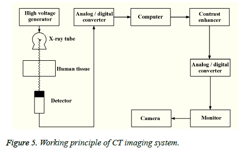 biomedres-CT-imaging