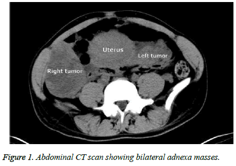 biomedres-CT-scan