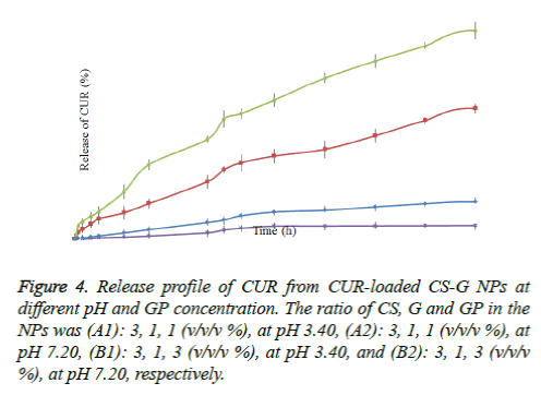 biomedres-CUR-loaded