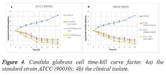 biomedres-Candida-glabrata