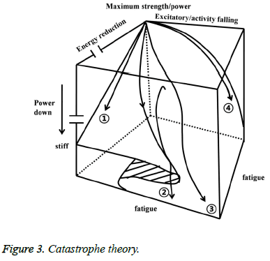 biomedres-Catastrophe-theory