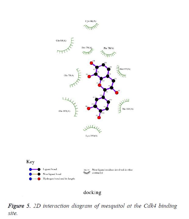 biomedres-Cdk4-binding