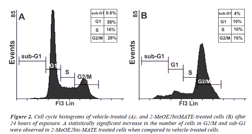 biomedres-Cell-cycle