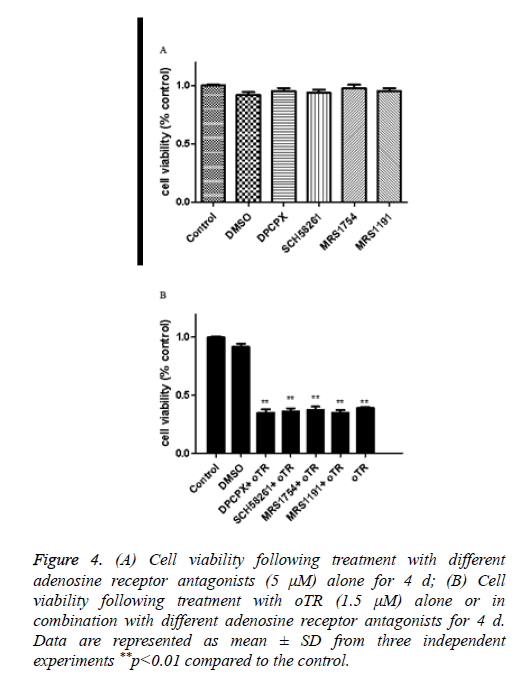 biomedres-Cell-viability