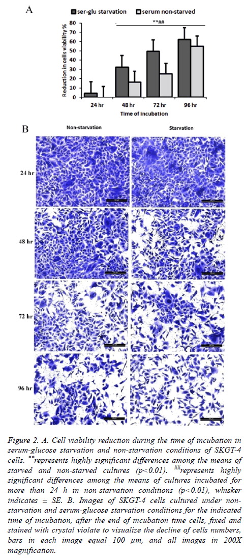 biomedres-Cell-viability