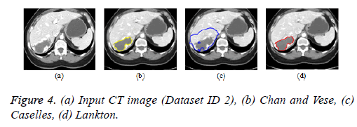 biomedres-Chan-dataset