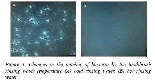 biomedres-Changes-number