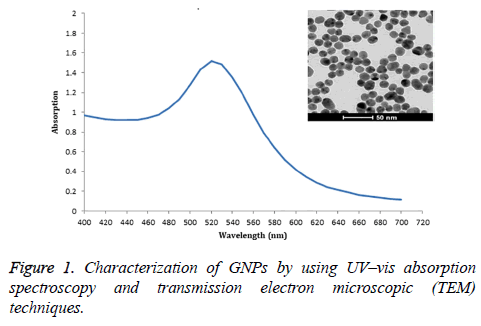 biomedres-Characterization