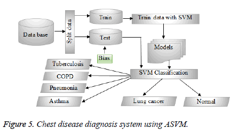 biomedres-Chest-diagnosis