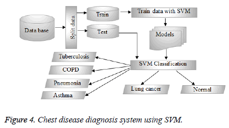 biomedres-Chest-disease