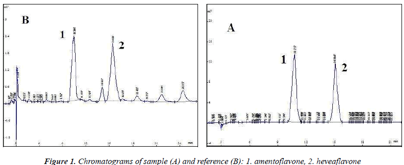 biomedres-Chromatograms-sample-reference-amentoflavone