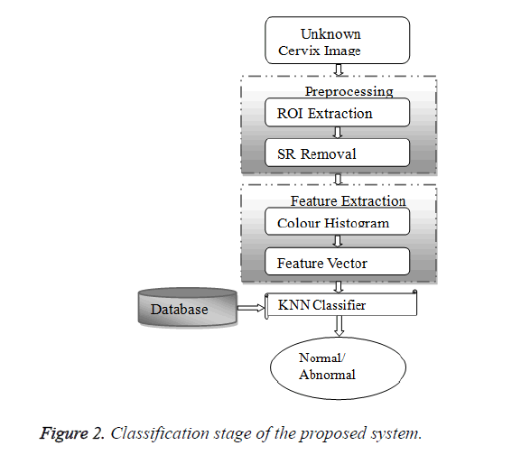 biomedres-Classification-stage