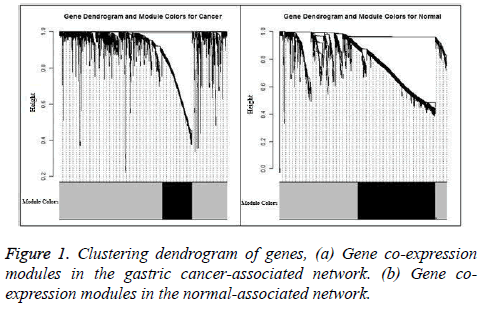 biomedres-Clustering-dendrogram