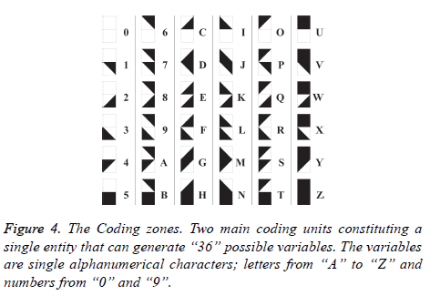 biomedres-Coding-zones