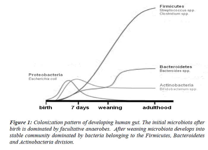 biomedres-Colonization-pattern