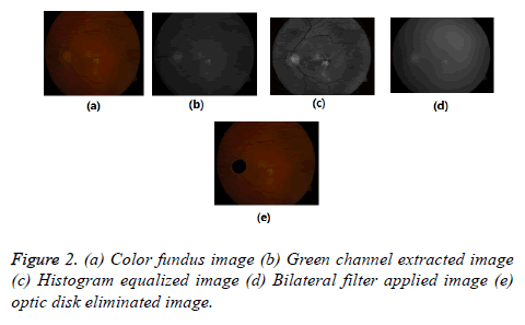 biomedres-Color-fundus