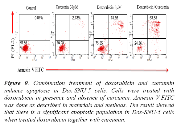 biomedres-Combination-treatment-doxorubicin