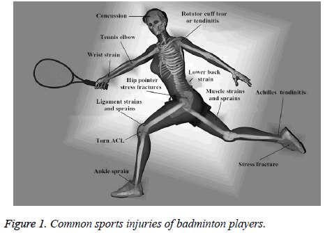 biomedres-Common-sports