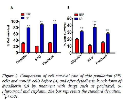 biomedres-Comparison-cell