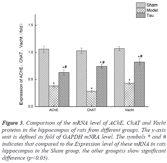 biomedres-Comparison-mRNA-level