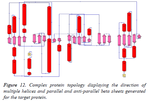 biomedres-Complex-protein