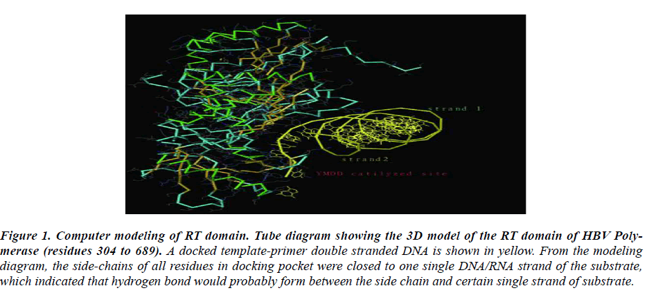 biomedres-Computer-modeling-RT-domain