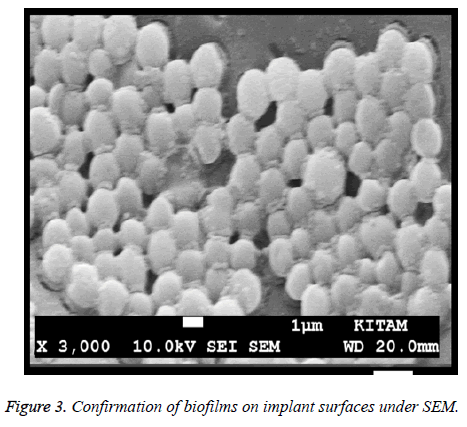 biomedres-Confirmation-biofilms