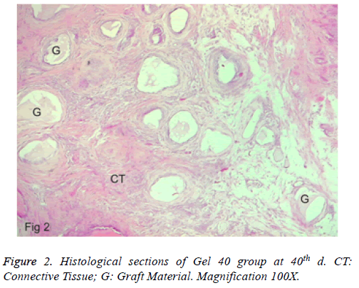 biomedres-Connective-Tissue