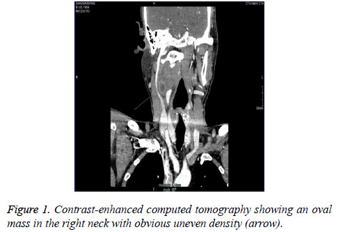 biomedres-Contrast-enhanced