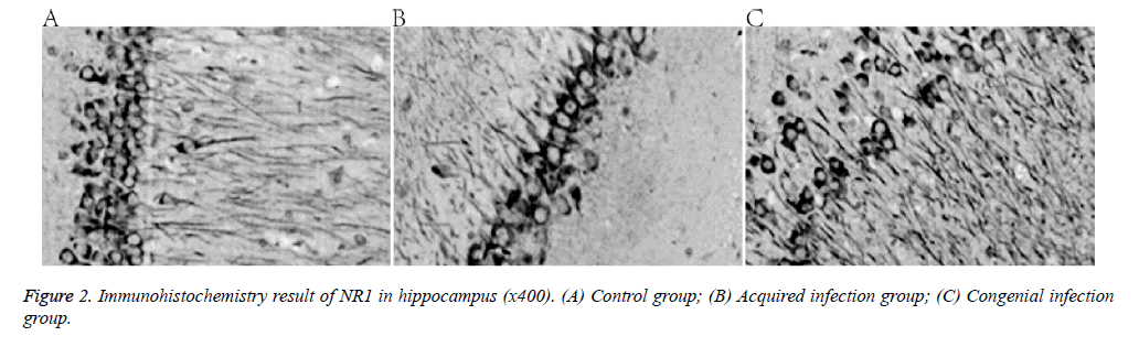 biomedres-Control-group