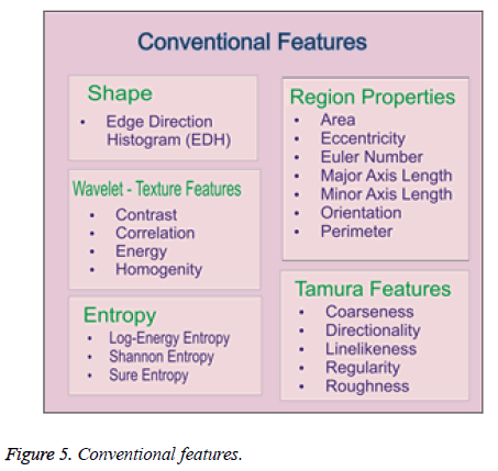 biomedres-Conventional-features