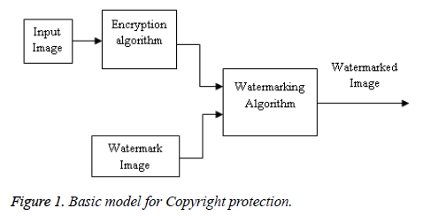 biomedres-Copyright-protection