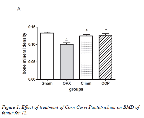 biomedres-Corn-Cervi