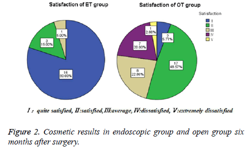 biomedres-Cosmetic-results