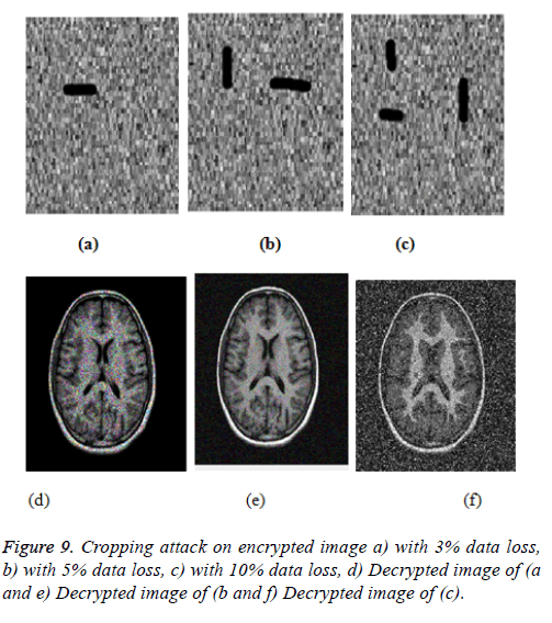 biomedres-Cropping-attack