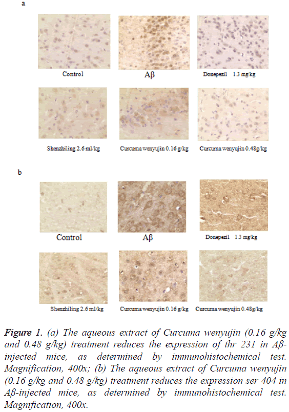 biomedres-Curcuma-wenyujin